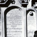 Fani Braunschweig